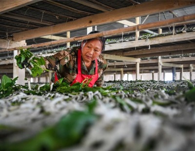 上海爷叔现身被大量股民围观