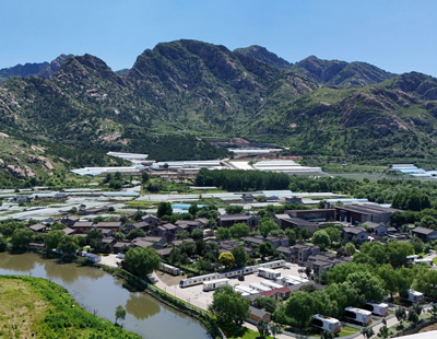 林诗栋蒯曼冠军