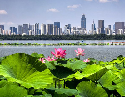 每日经济新闻