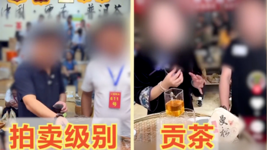 咖香飘四海 侨乡浙江青田咖啡产业提质拓市场