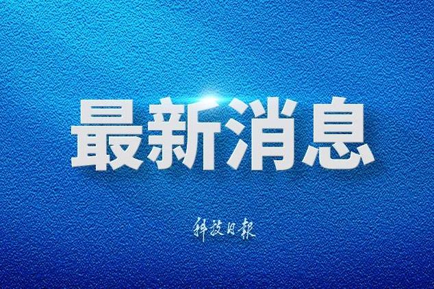 哀牢山发现全球仅千只的鸟