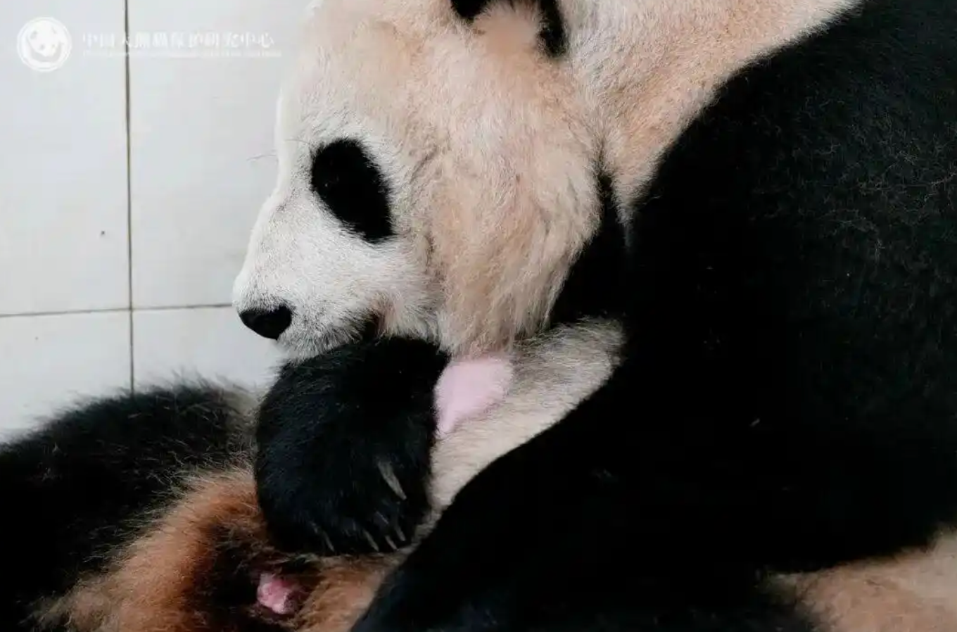 中国人民的好朋友为了友谊跨越山海