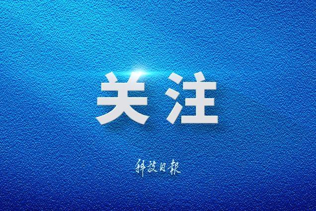 巴基斯坦前政要：中东安全不能外包，地区国家须携手掌控命运
