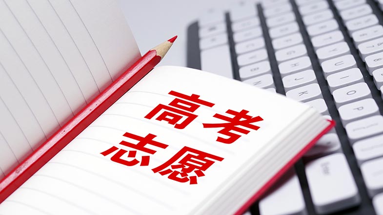 成全影院电视剧国语在线观看《顶楼的大象》